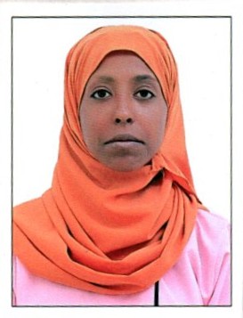 MEKDES GONFA BIRATU