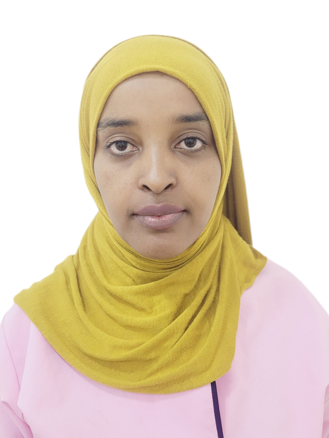 HANISA MUDESIR AHMED