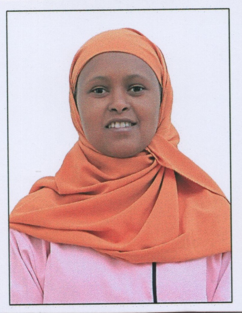 ALMAZ BATIRI BALCHA