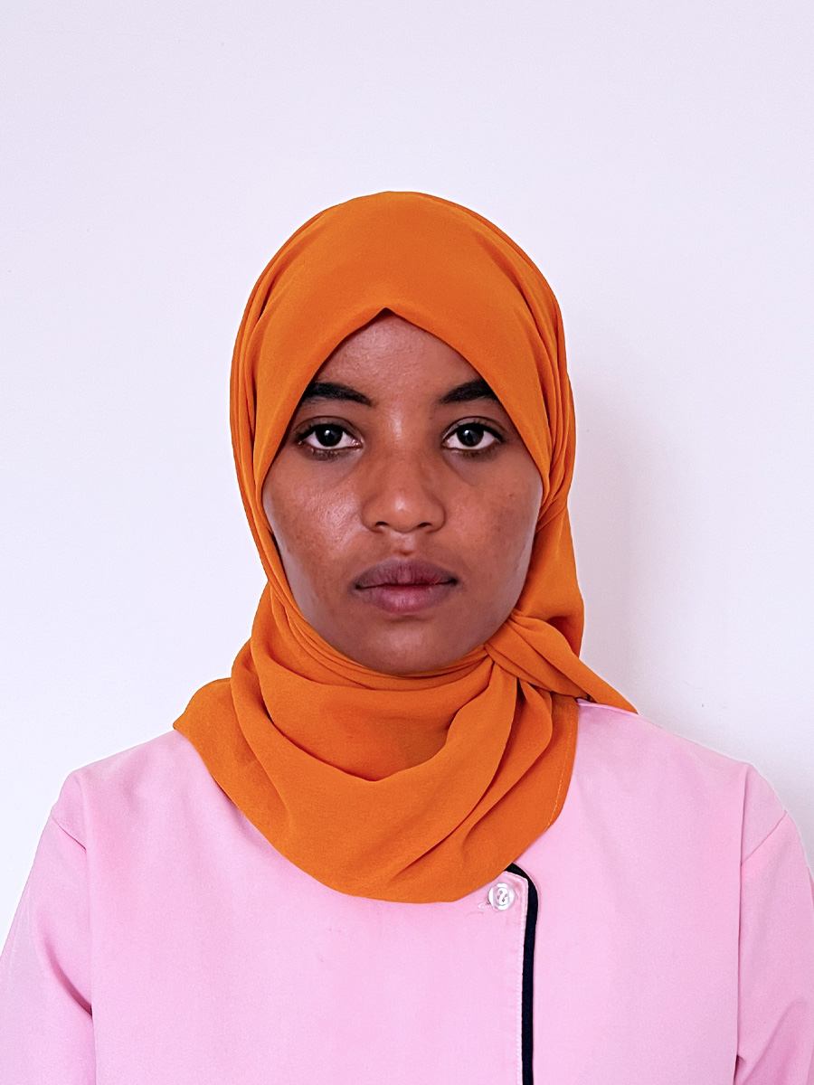 ABEBECH ALEMU ITCHA
