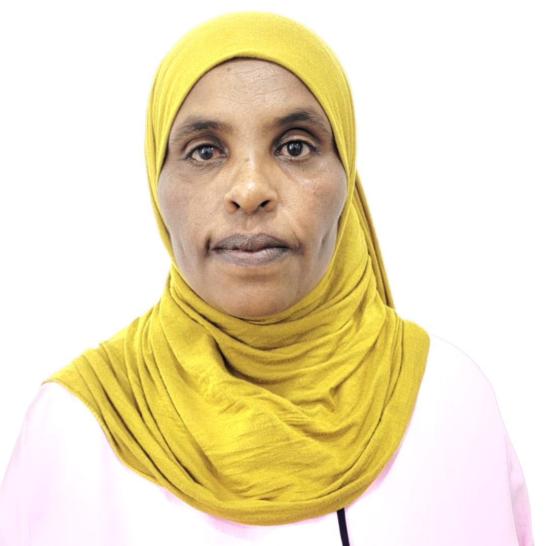 ALEMNESH AYICHILUHIM TEFERA