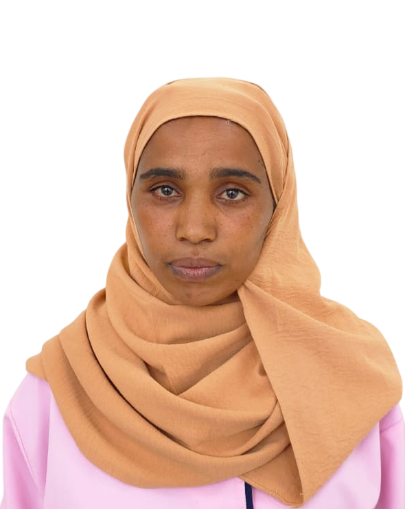 MESERET HAILU BIZU